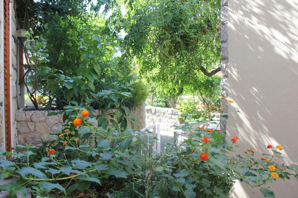 Apartments Boris Zaton  Εξωτερικό φωτογραφία