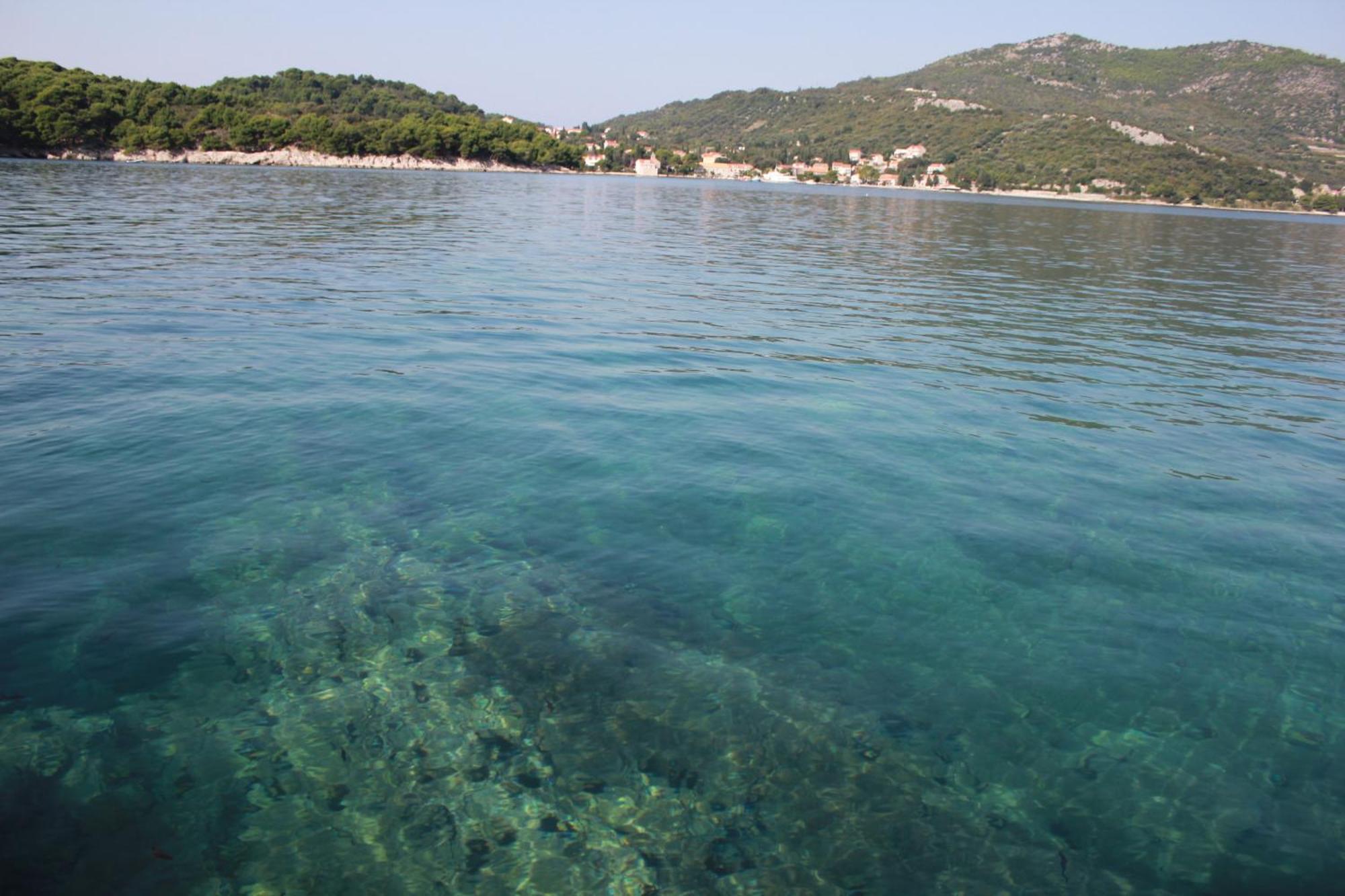 Apartments Boris Zaton  Δωμάτιο φωτογραφία