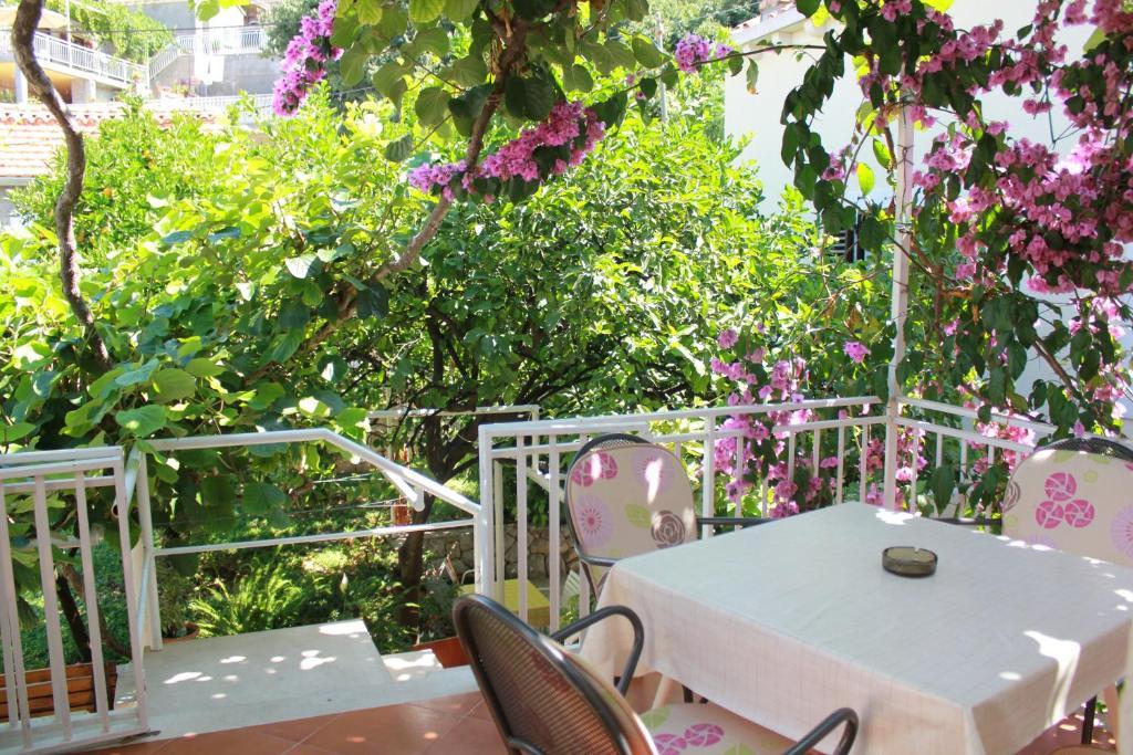 Apartments Boris Zaton  Δωμάτιο φωτογραφία